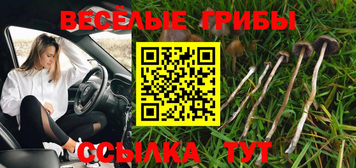 Новоуральск  Псилоцибиновые грибы GOLDEN TEACHER  Вход с VPN 
