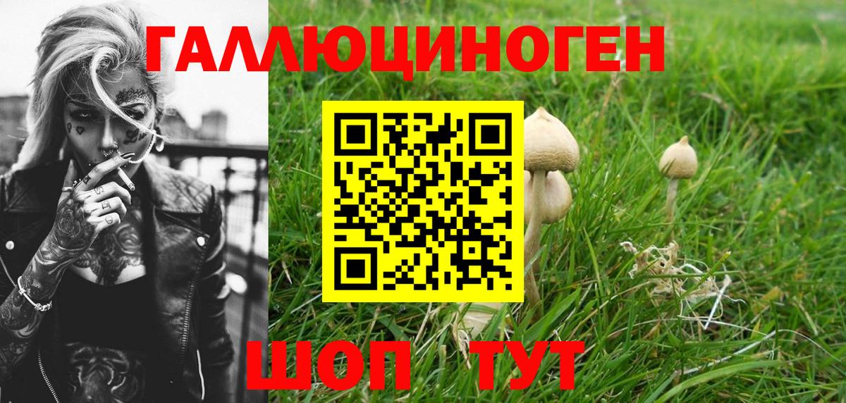 Псилоцибиновые грибы MAGIC MUSHROOMS Новоуральск